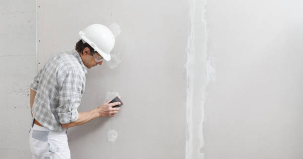 Best Commercial Mold Inspection  in Glasgow, VA