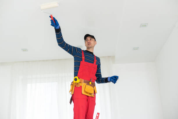 Best Mold Removal for HVAC Installations  in Glasgow, VA